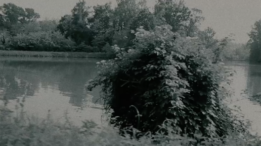 elm swampland valerio ferrario dop direttore della fotografia cinematographer